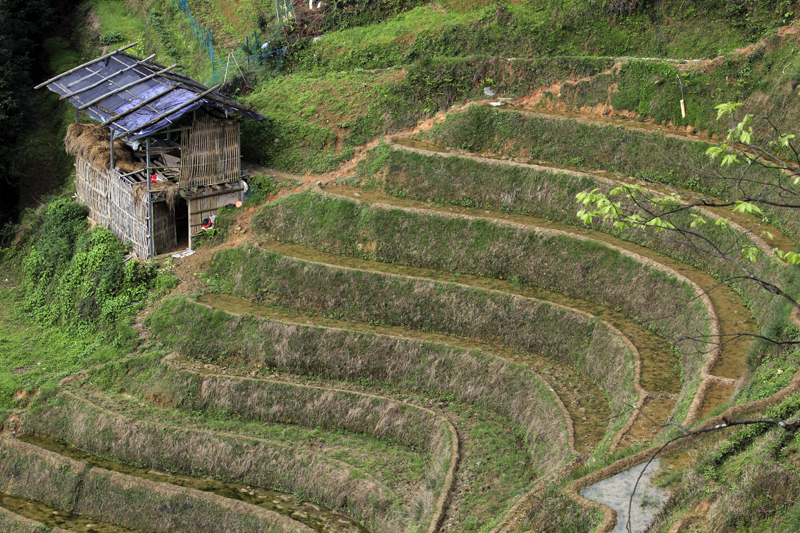 2017-04-12_085340 china-2017.jpg - Longsheng - Pingan - Reisterassen